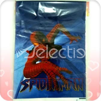 favor bag lahore