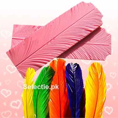 B Jumbo Feather Veiner Fondant Cooking Tools Large Silicone Molds